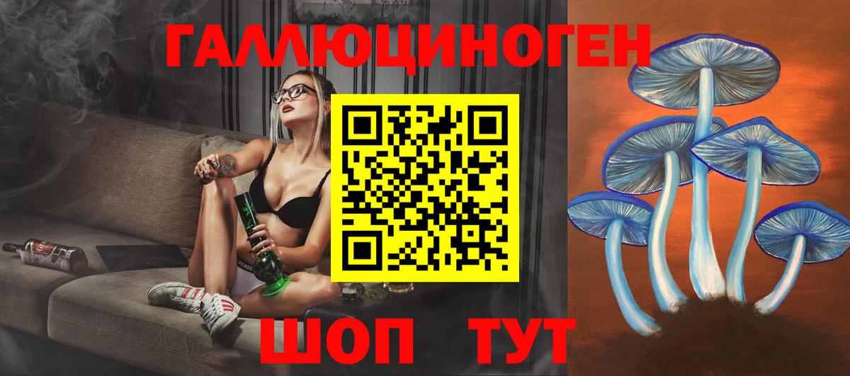 Галлюциногенные грибы GOLDEN TEACHER  Вход с VPN  Северск 