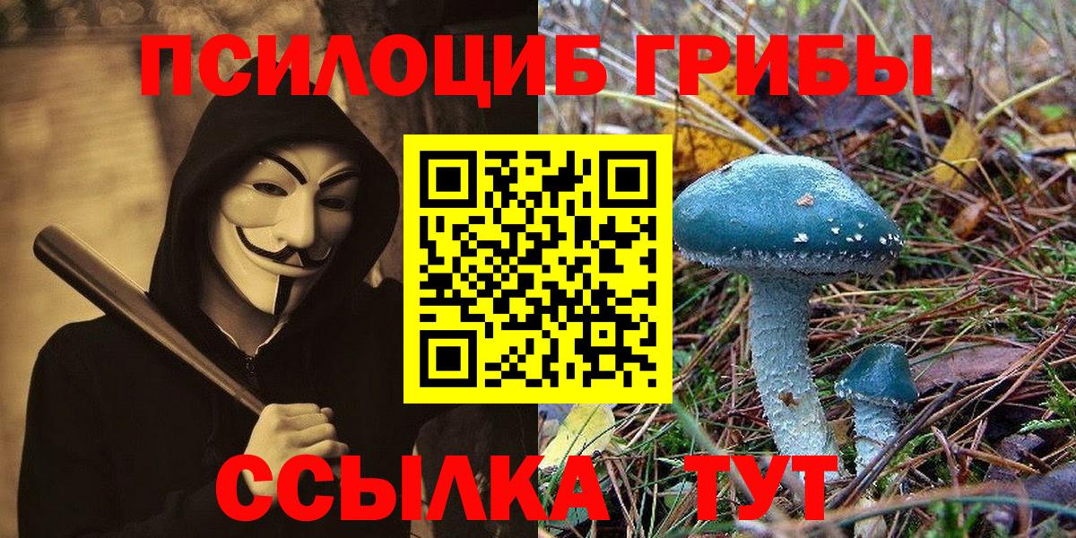 Псилоцибиновые грибы MAGIC MUSHROOMS Северск